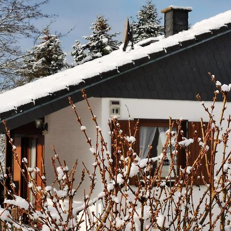 Bb19 Eifel-Ferienhaus Am Moseltal Mit Saunahaus Beuren  Exteriér fotografie