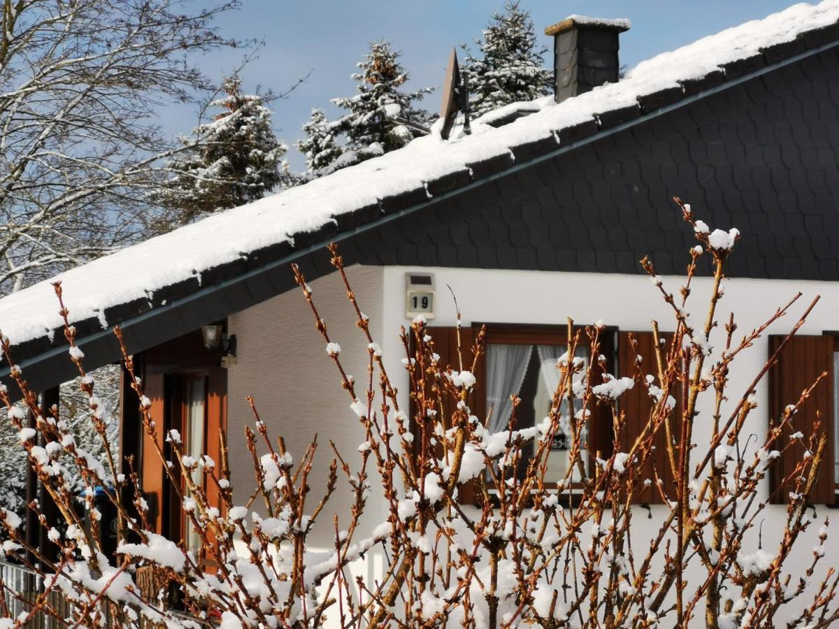 Bb19 Eifel-Ferienhaus Am Moseltal Mit Saunahaus Beuren  Exteriér fotografie