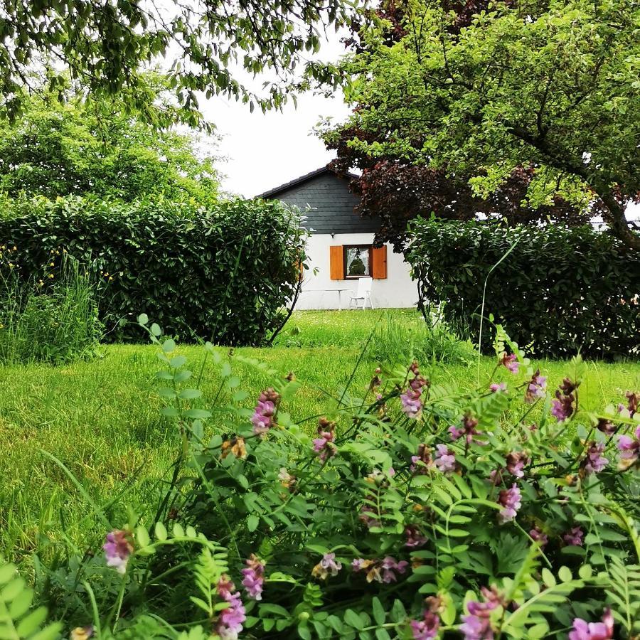 Bb19 Eifel-Ferienhaus Am Moseltal Mit Saunahaus Beuren  Exteriér fotografie