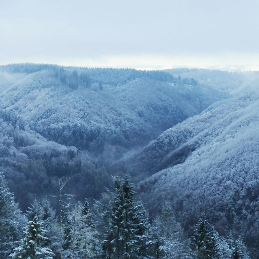 Bb19 Eifel-Ferienhaus Am Moseltal Mit Saunahaus Beuren  Exteriér fotografie