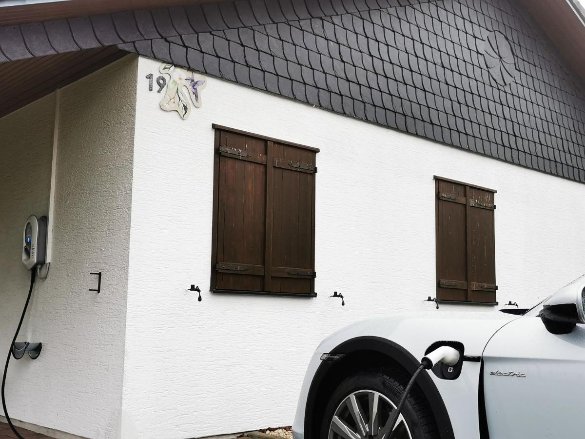 Bb19 Eifel-Ferienhaus Am Moseltal Mit Saunahaus Beuren  Exteriér fotografie