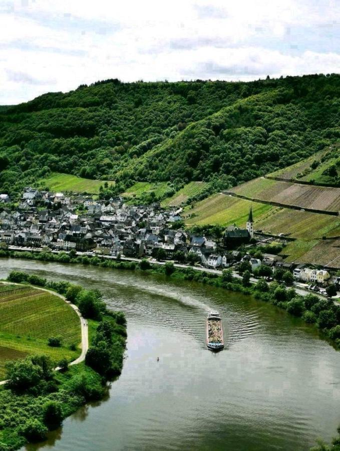 Bb19 Eifel-Ferienhaus Am Moseltal Mit Saunahaus Beuren  Exteriér fotografie