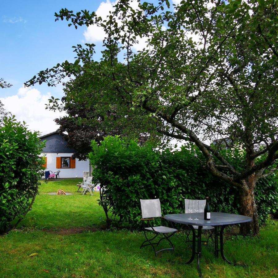 Bb19 Eifel-Ferienhaus Am Moseltal Mit Saunahaus Beuren  Exteriér fotografie